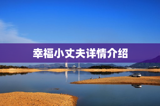 幸福小丈夫详情介绍