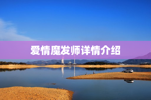 爱情魔发师详情介绍