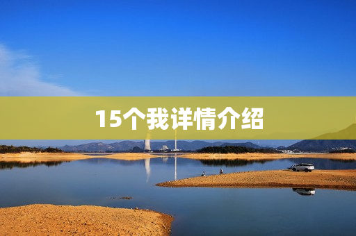 15个我详情介绍