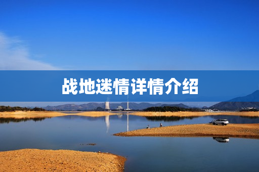 战地迷情详情介绍