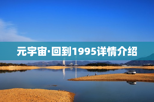 元宇宙·回到1995详情介绍
