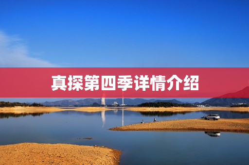 真探第四季详情介绍