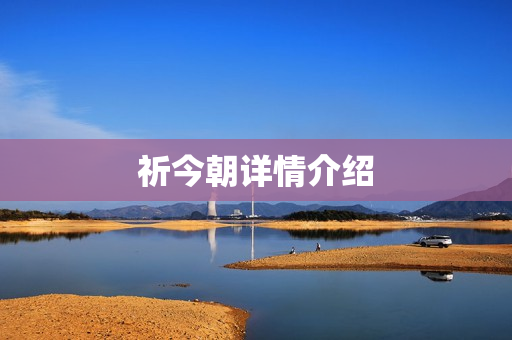 祈今朝详情介绍