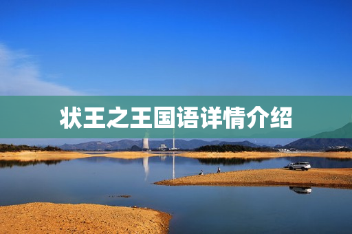 状王之王国语详情介绍