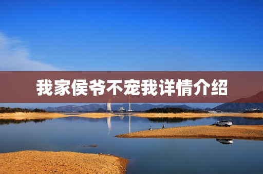 我家侯爷不宠我详情介绍