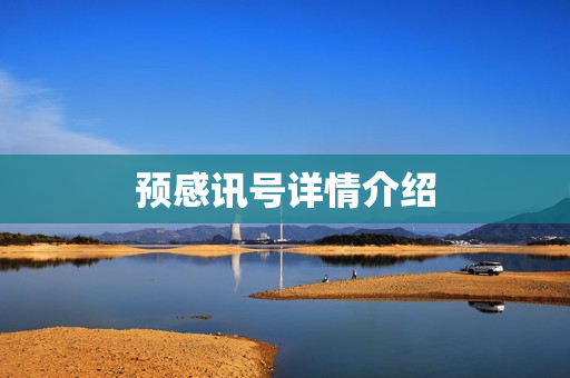 预感讯号详情介绍