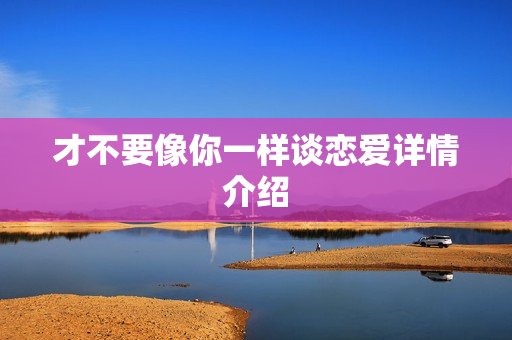 才不要像你一样谈恋爱详情介绍
