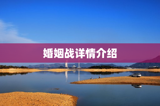 婚姻战详情介绍