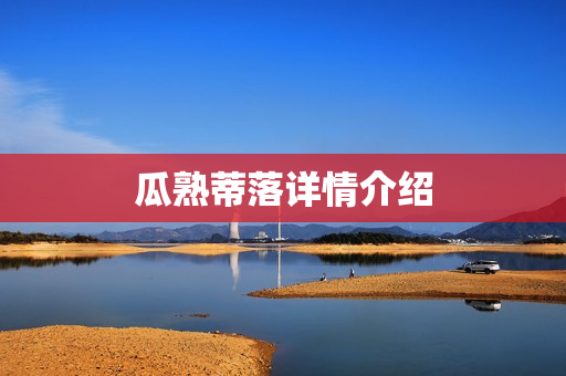 瓜熟蒂落详情介绍