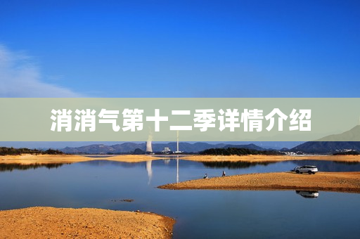 消消气第十二季详情介绍