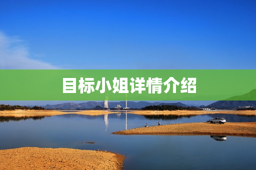 目标小姐详情介绍
