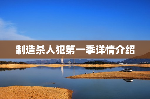 制造杀人犯第一季详情介绍