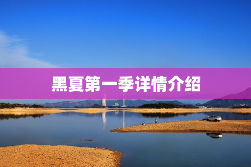 黑夏第一季详情介绍