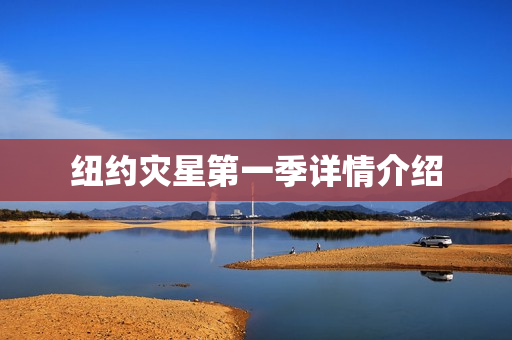 纽约灾星第一季详情介绍