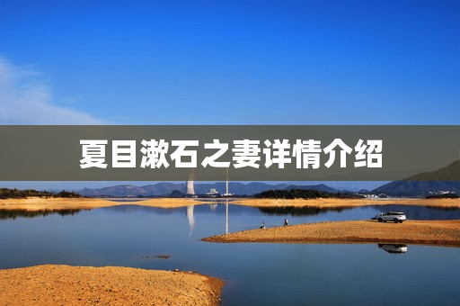 夏目漱石之妻详情介绍