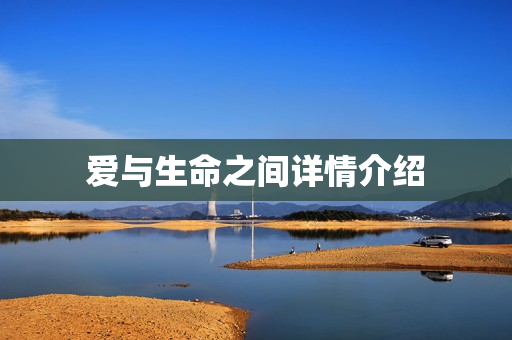 爱与生命之间详情介绍