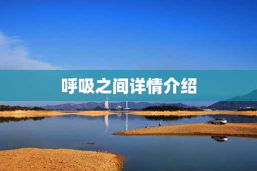 呼吸之间详情介绍