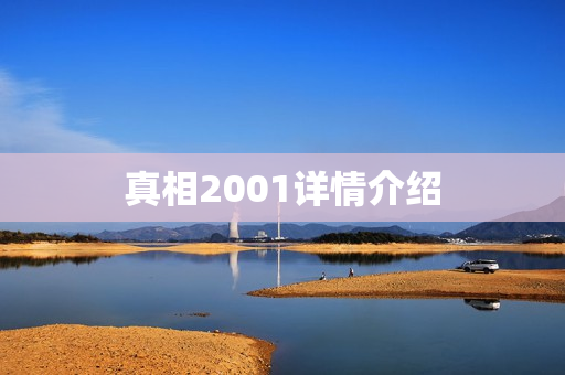真相2001详情介绍