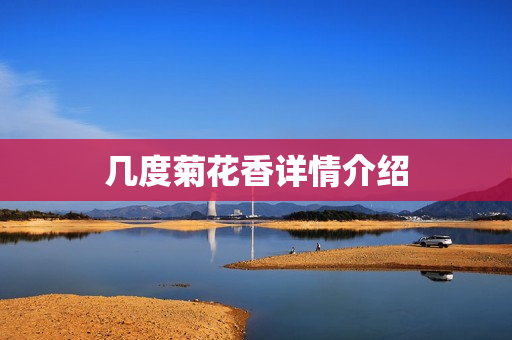 几度菊花香详情介绍