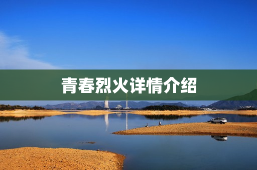 青春烈火详情介绍