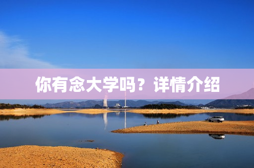 你有念大学吗？详情介绍
