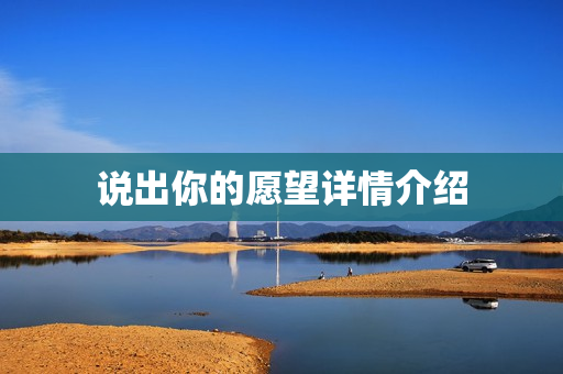 说出你的愿望详情介绍
