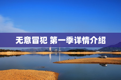 无意冒犯 第一季详情介绍