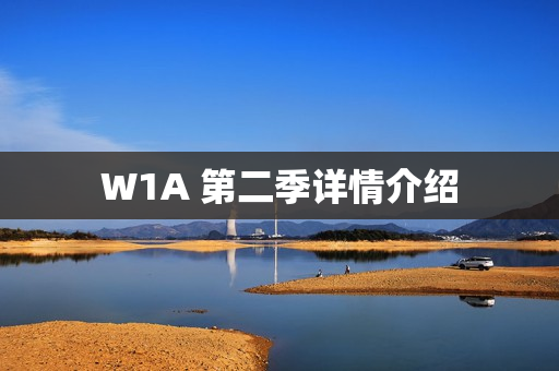 W1A 第二季详情介绍