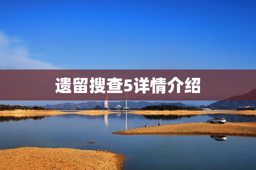 遗留搜查5详情介绍