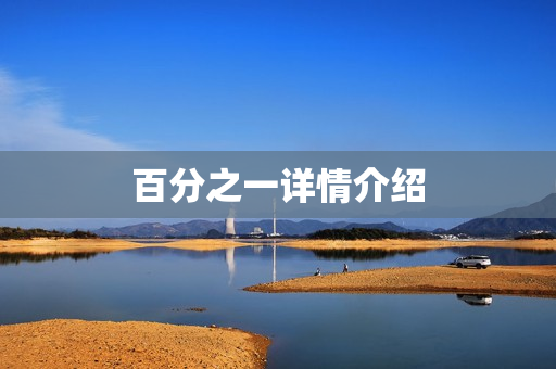 百分之一详情介绍