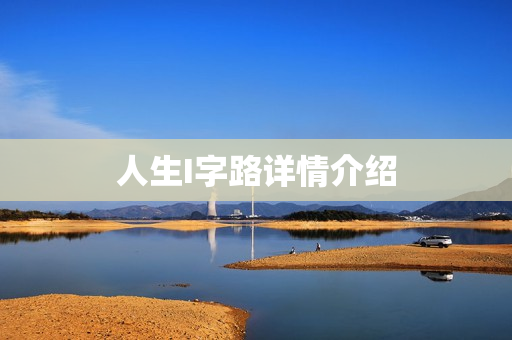 人生I字路详情介绍