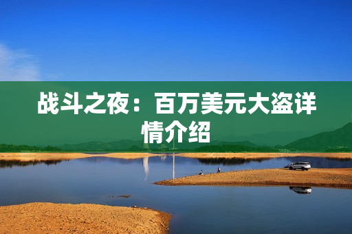 战斗之夜：百万美元大盗详情介绍