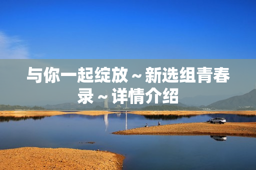 与你一起绽放～新选组青春录～详情介绍