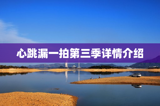 心跳漏一拍第三季详情介绍
