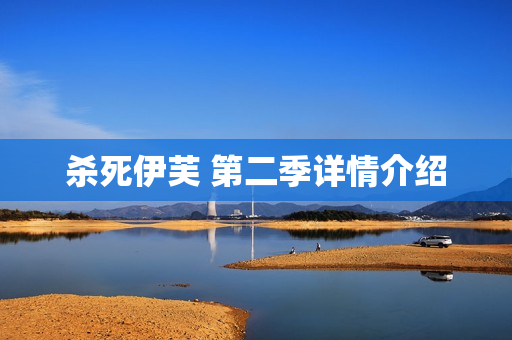 杀死伊芙 第二季详情介绍