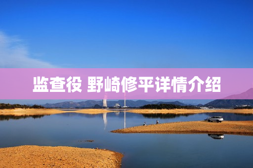 监查役 野崎修平详情介绍