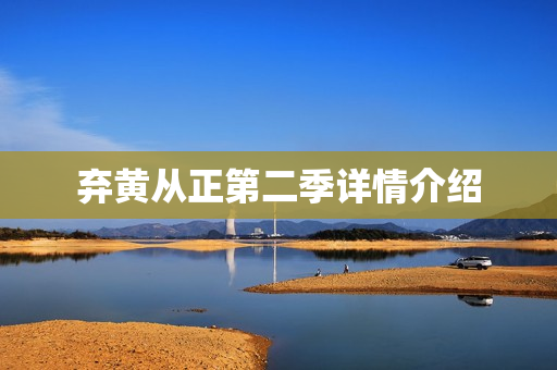 弃黄从正第二季详情介绍