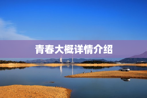 青春大概详情介绍