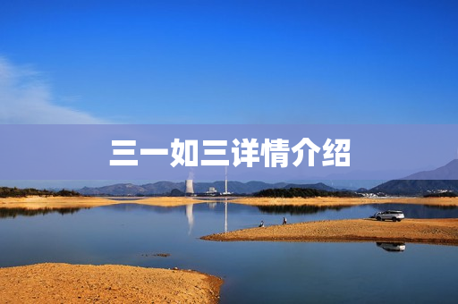 三一如三详情介绍