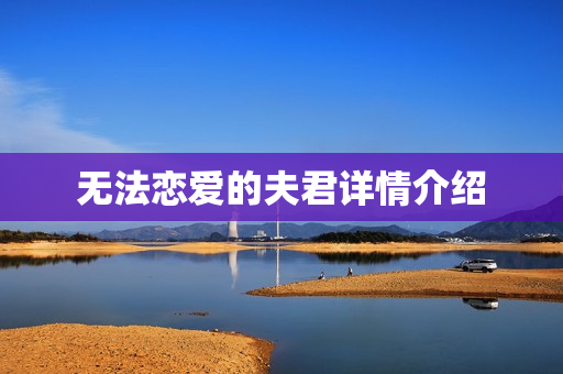 无法恋爱的夫君详情介绍