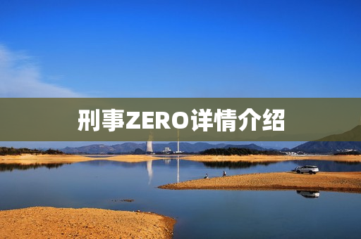 刑事ZERO详情介绍