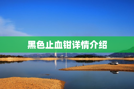 黑色止血钳详情介绍