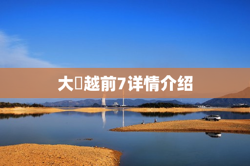 大岡越前7详情介绍