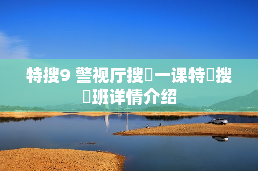 特搜9 警视厅搜査一课特別搜査班详情介绍