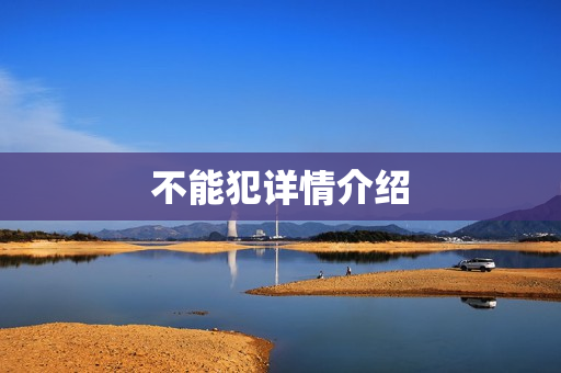 不能犯详情介绍
