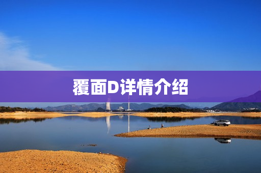 覆面D详情介绍
