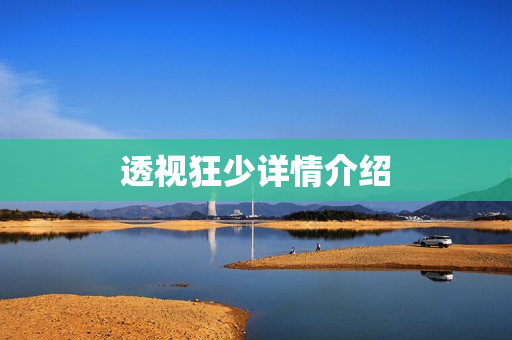 透视狂少详情介绍