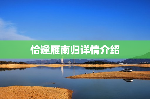 恰逢雁南归详情介绍