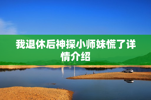 我退休后神探小师妹慌了详情介绍