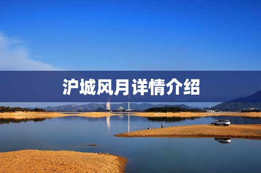 沪城风月详情介绍